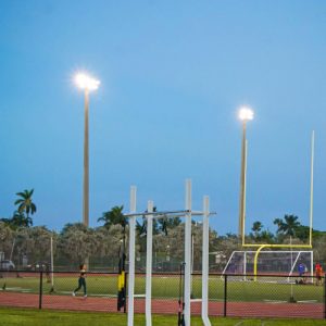 Flamingo Park Field