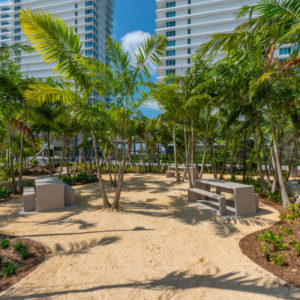 Canopy Park
