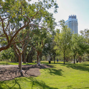 Pinetree Park