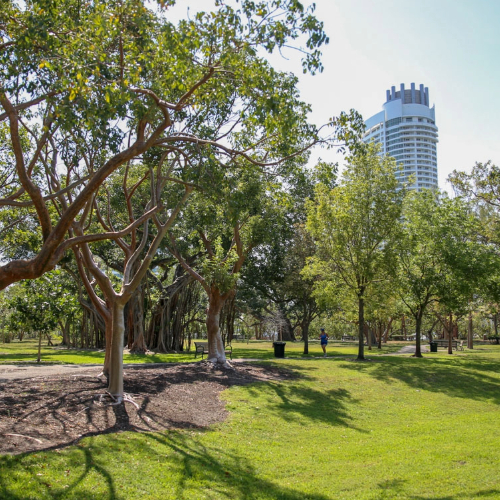 Pinetree Park