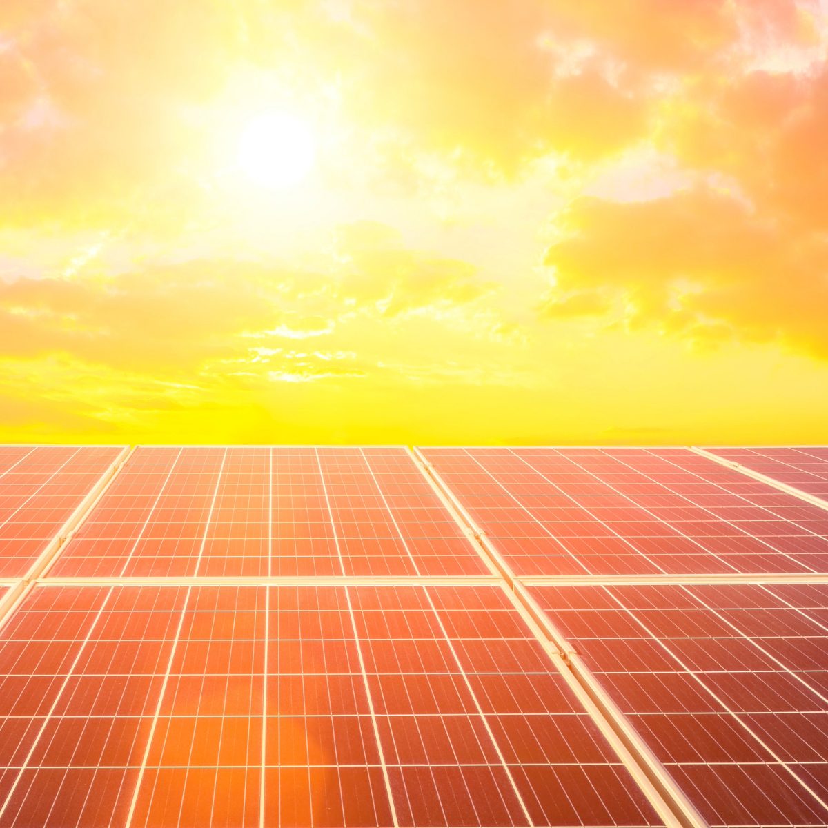 Solar Panels
