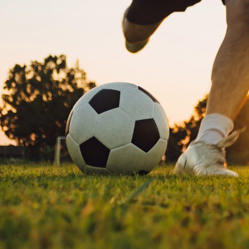 Soccer field and player