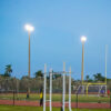 Flamingo Park Field