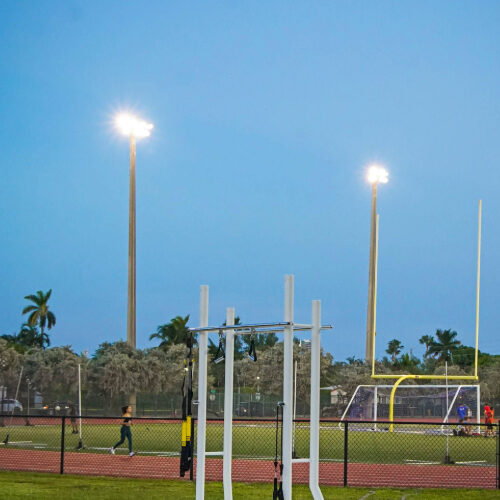 Flamingo Park Field