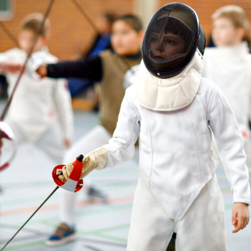 Kid Fencing